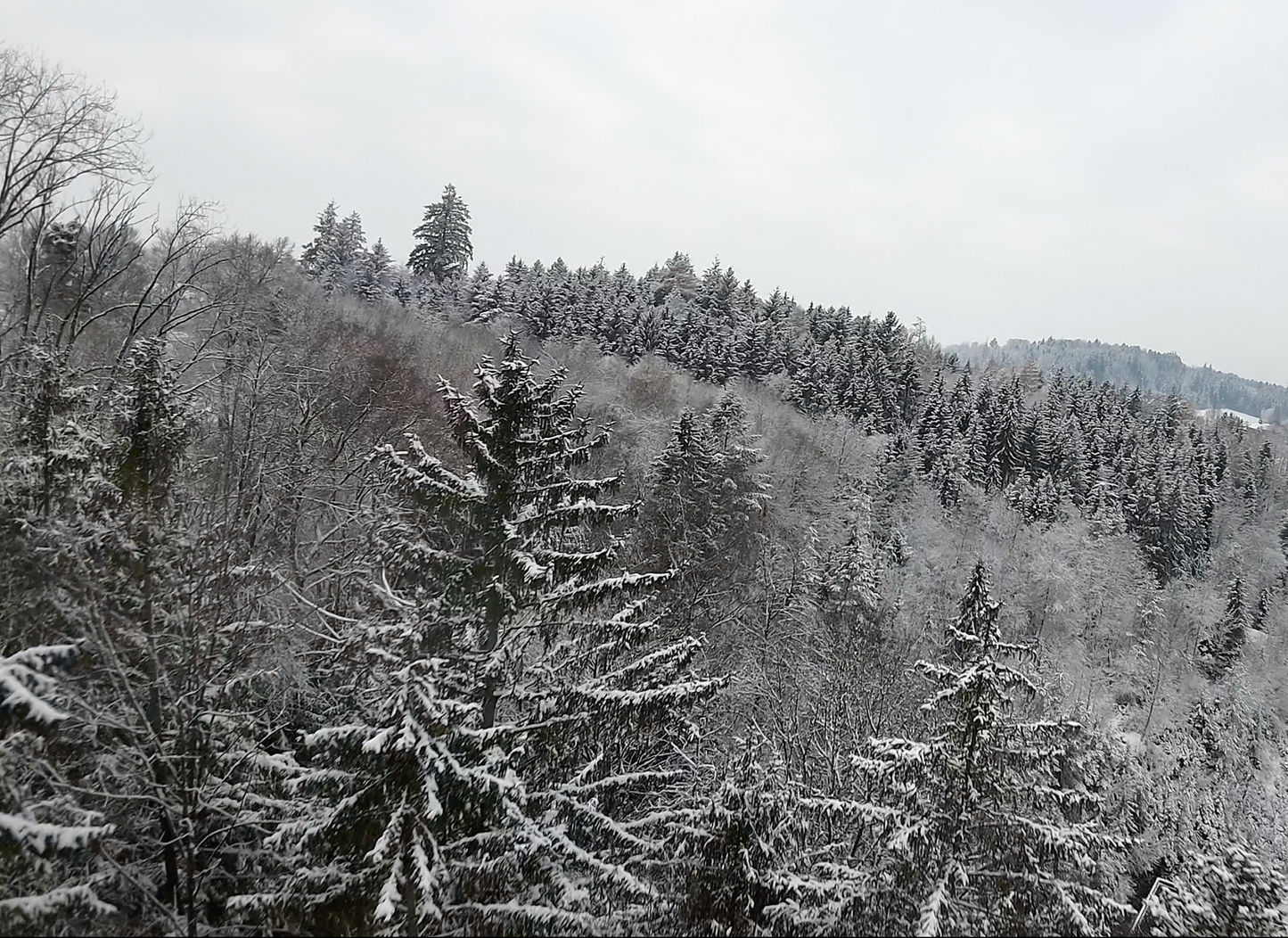 Memorial service - WinterWonderland-EMORY