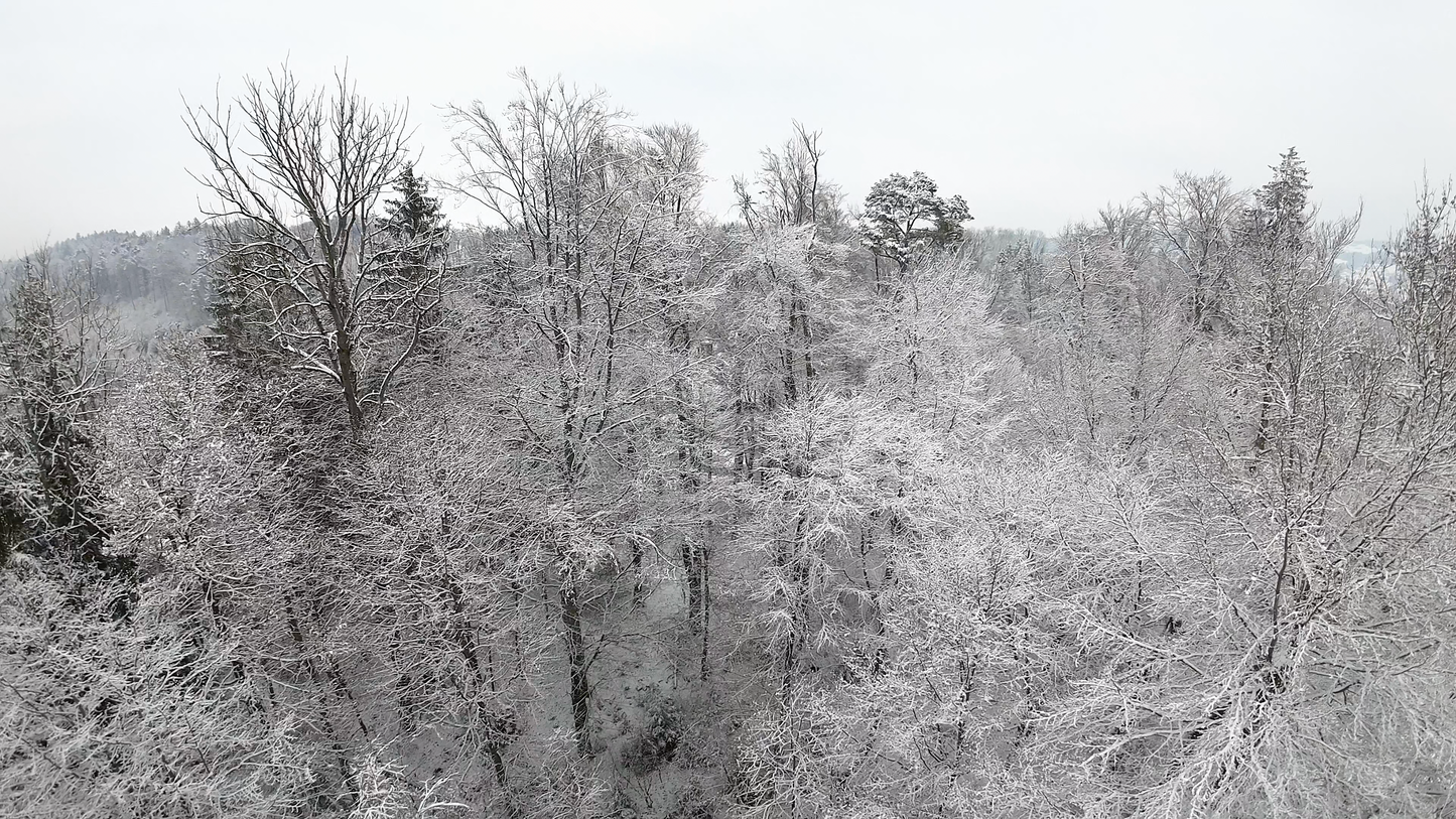 Memorial service - WinterWonderland-EMORY