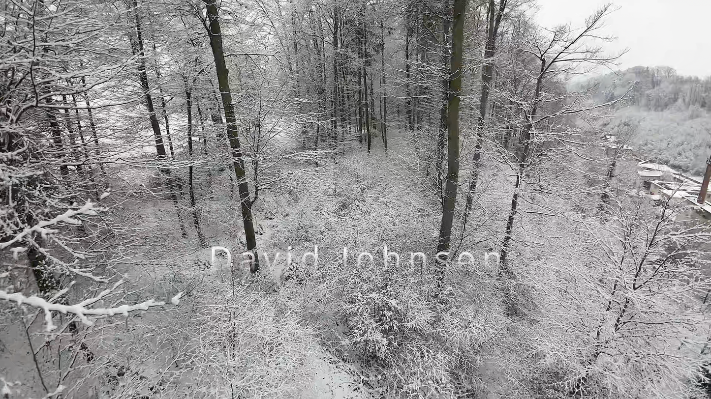 Memorial service - WinterWonderland-EMORY