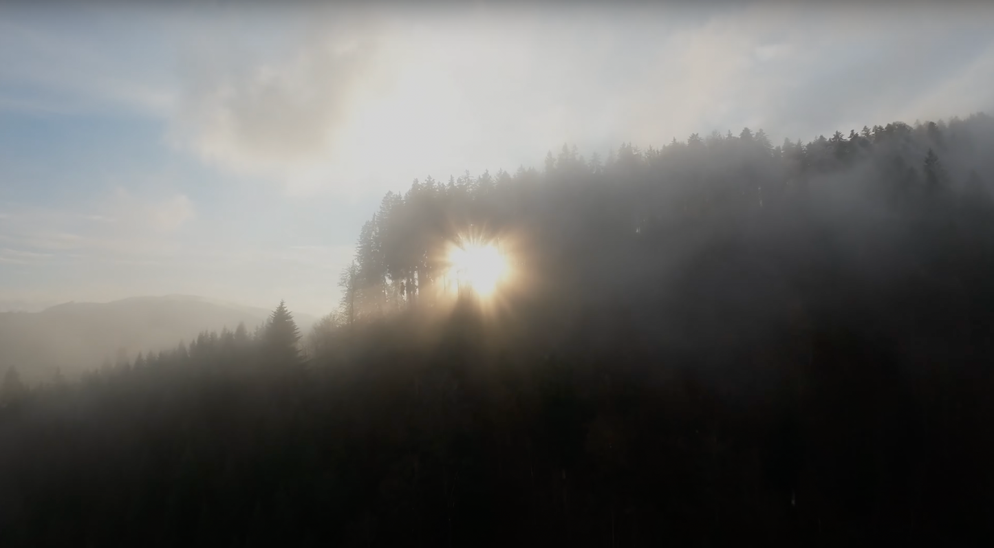 Gedenkgottesdienst - Nebel-EMORY