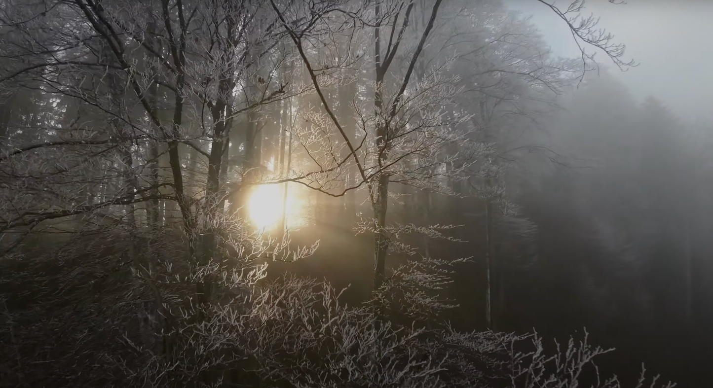 Memorial service - Fog-EMORY