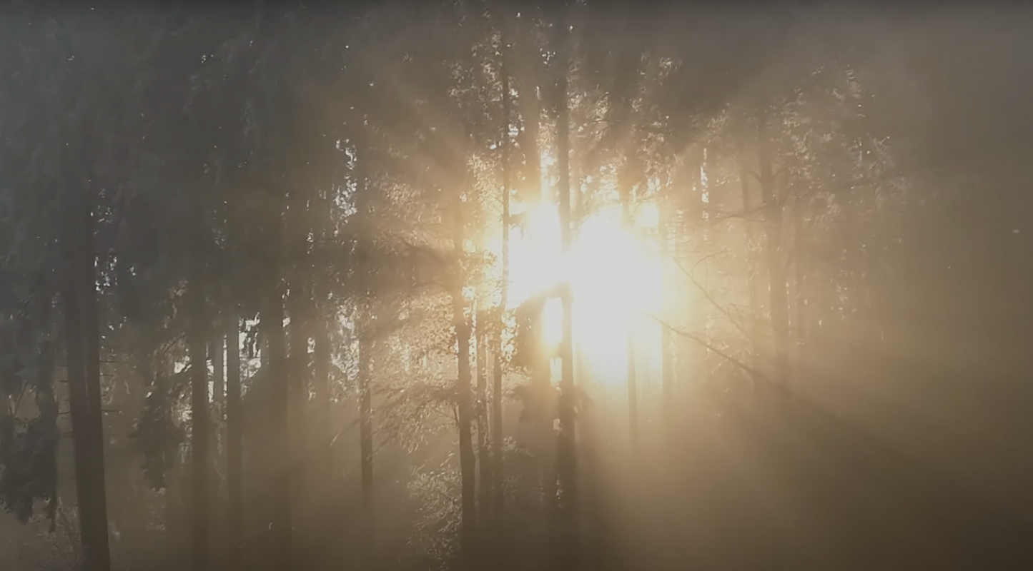 Memorial service - Fog-EMORY