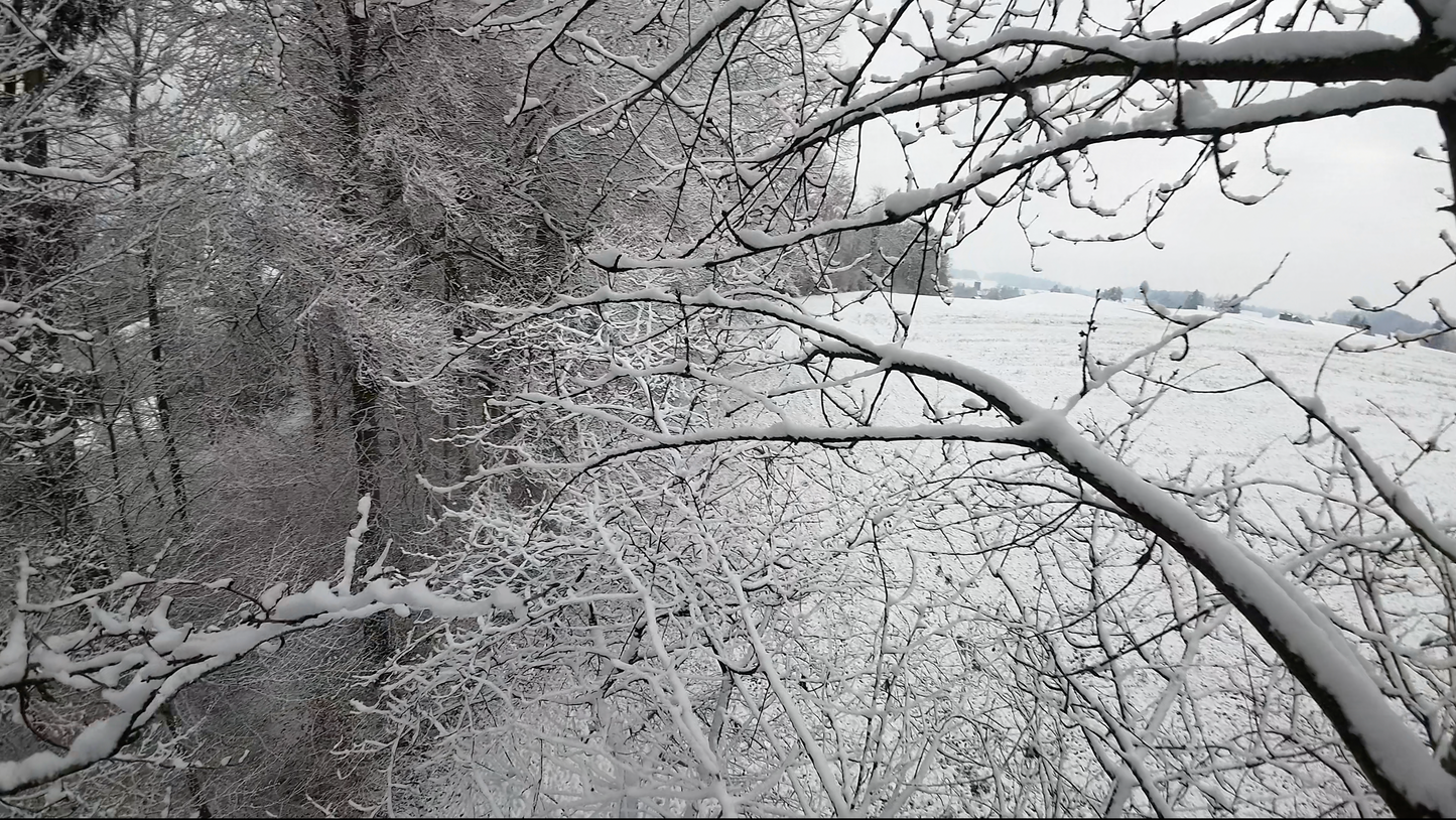 Memorial service - WinterWonderland-EMORY